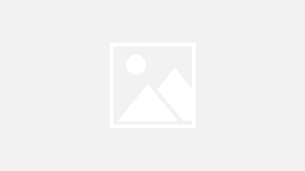 placeholder-partner-image